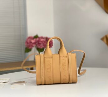 Mini Woody Tote Bag In Soft Leather