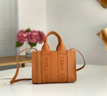 Mini Woody Tote Bag In Soft Leather