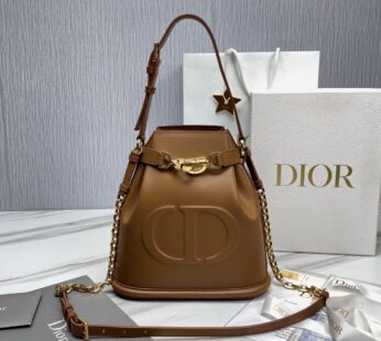 Medium C’est Dior Bag Golden Saddle CD-Embossed Calfskin