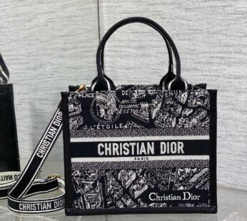 Small Dior Book Tote Black and White Plan de Paris Embroidery with Black Calfskin