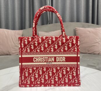 Small Dior Book Tote Oblique Red