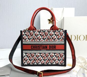 Dior Book Tote Bag