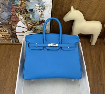 Birkin 25 Blue Togo Silver Hardware Bag