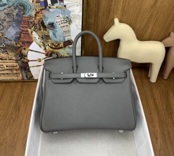 Birkin 25 Gris Palladium Hardware Bag