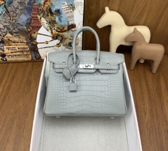 Crocodile Birkin Bag 25 Silver Hardware