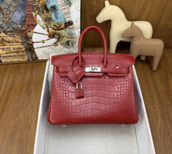 Crocodile Birkin Bag 25 Silver Hardware