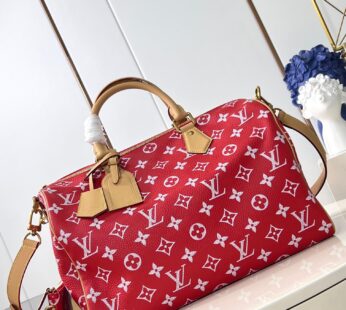 Speedy P9 Bandoulière 40 Autres Cuirs Monogram Bag